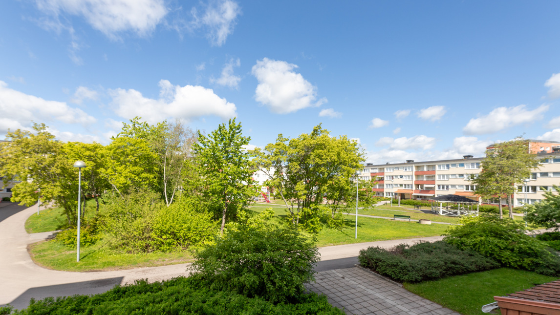 Flerfamiljshus med grönskade innergård.