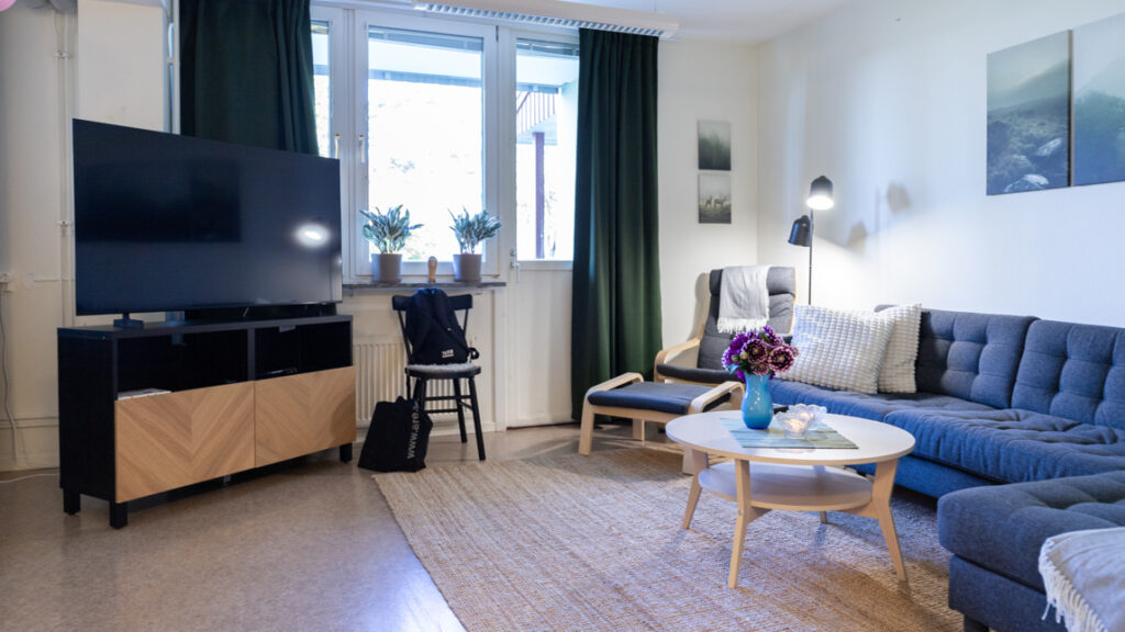 Ett vardagsrum fyllt med möbler och en platt-tv.